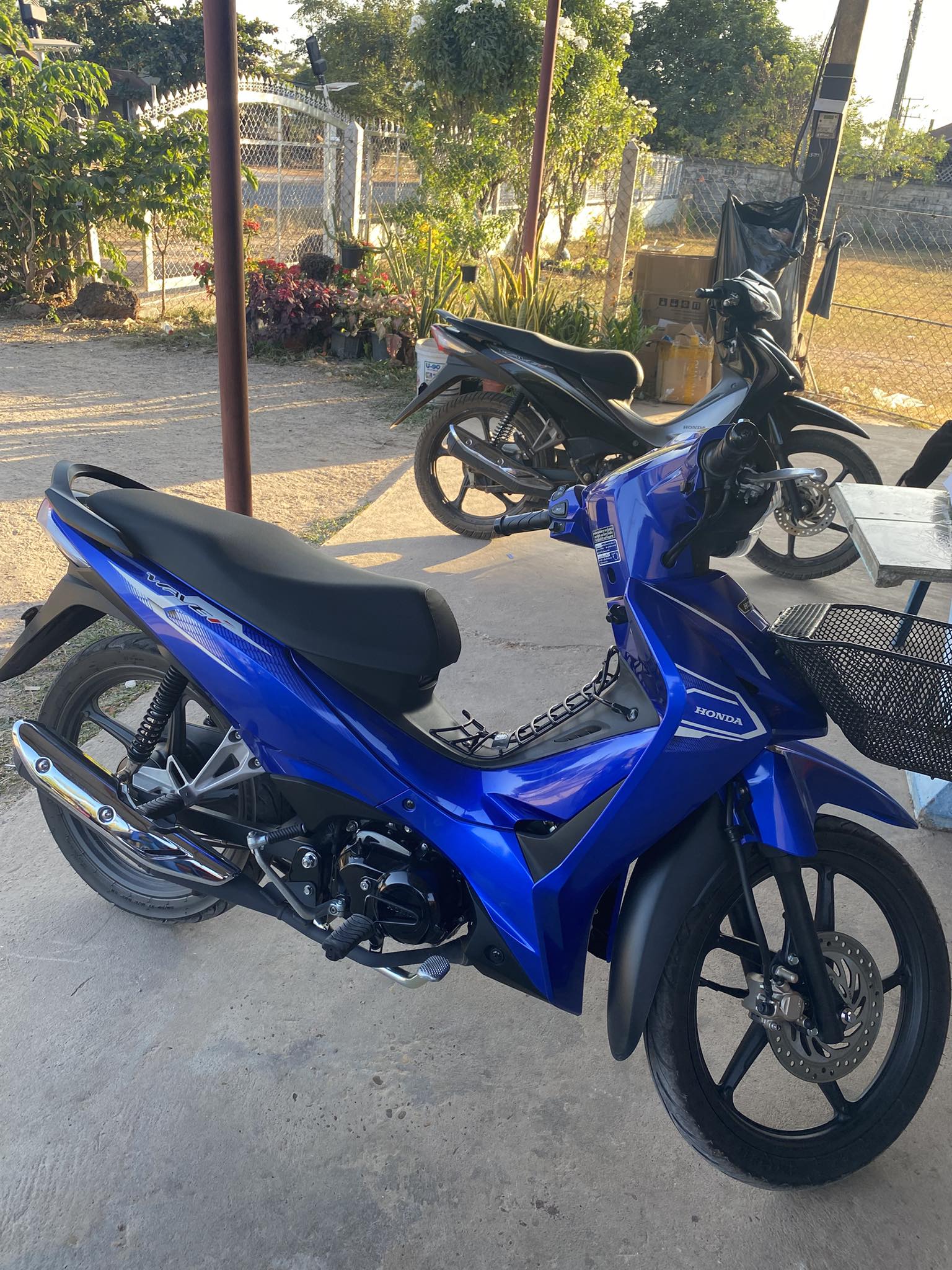 ຕ້ອງການສີນີ່ດ່ວນປີ24-25