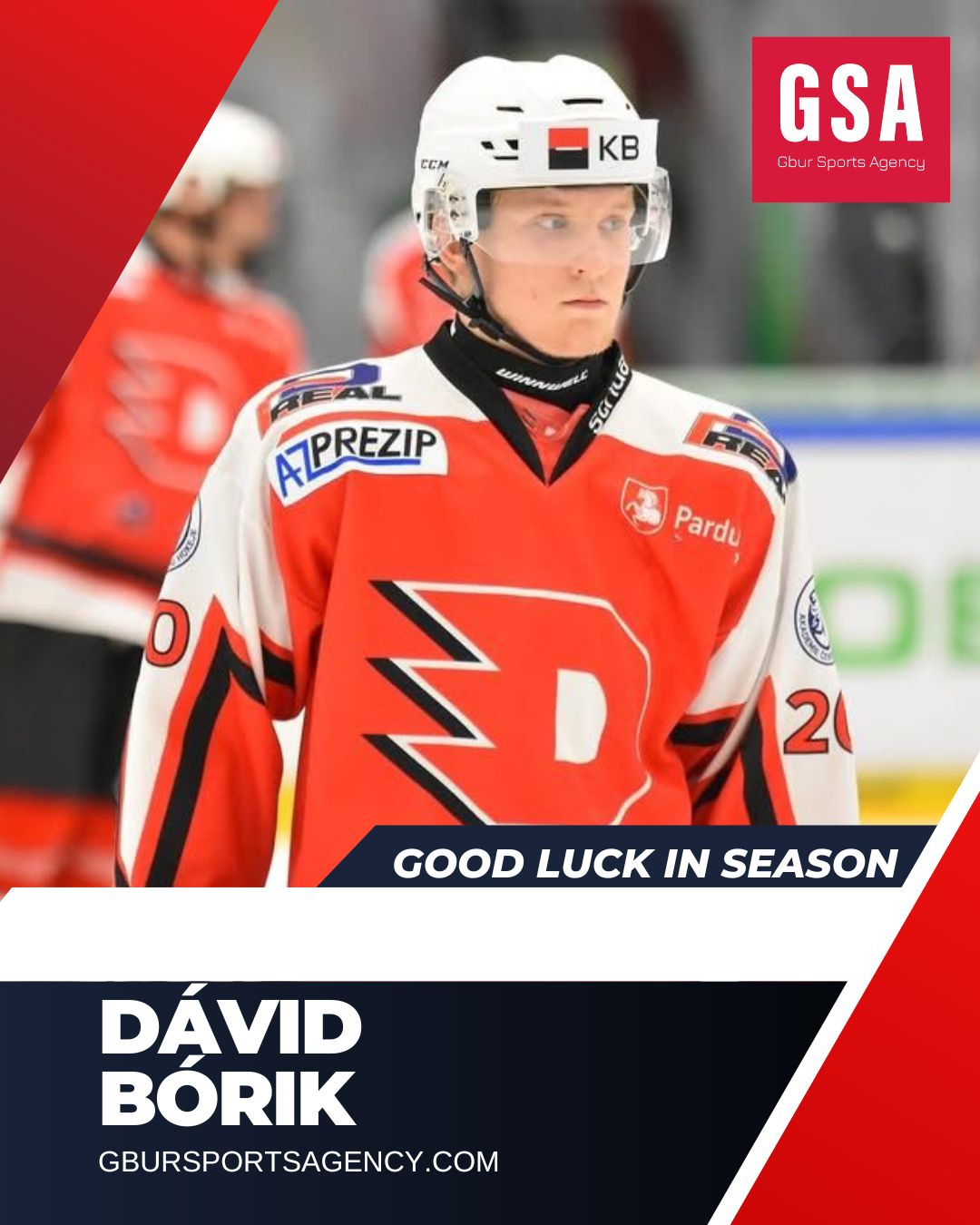 DÁVID BÓRIK V DYNAMO PARDUBICE 🏒🇨🇿... - Gbur Sports Agency | Facebook