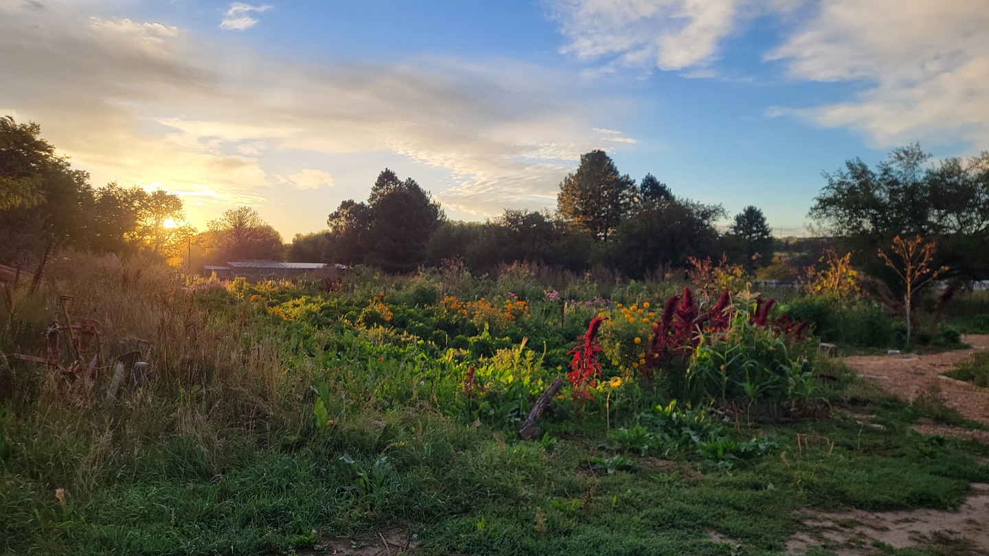 Jacob Springs Farm added a new photo. - Jacob Springs Farm