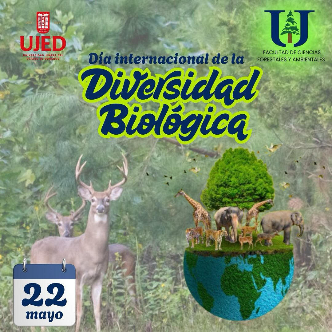 En el Día... - Facultad de Ciencias Forestales y Ambientales | Facebook