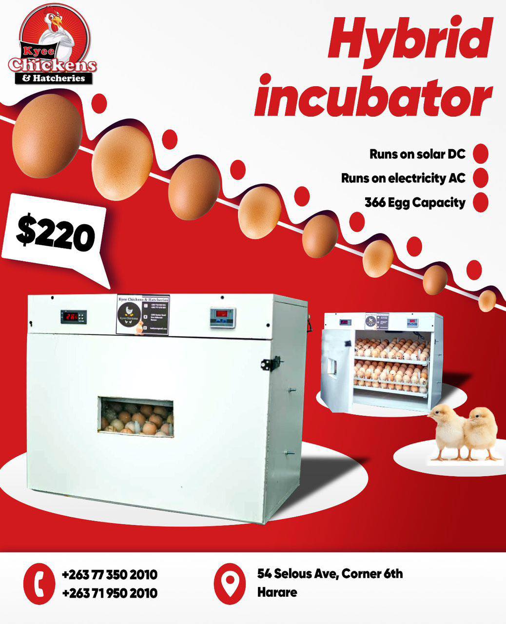 Kyee - 🔥 ON PROMOTION! HYBRID INCUBATOR – ONLY $220 🐣 Power cuts? No ...