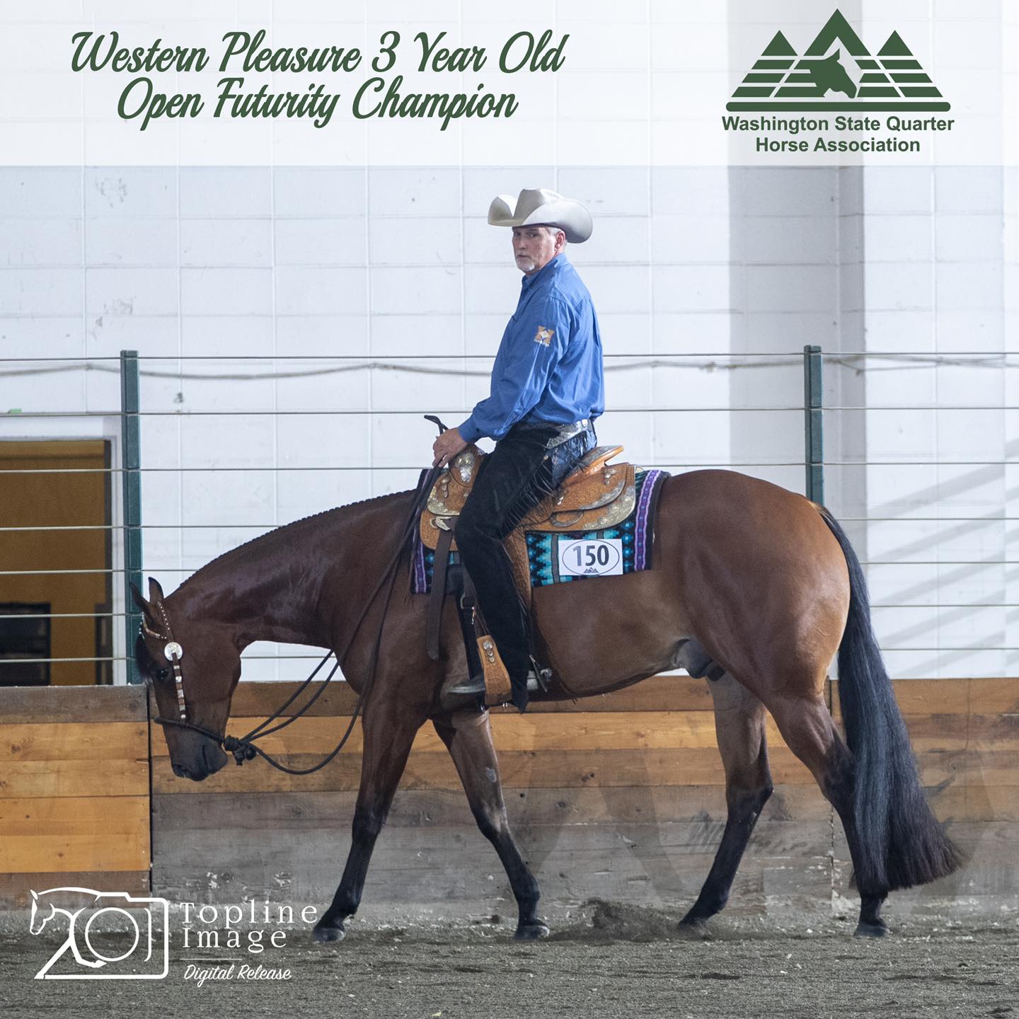 Washington State Quarter Horse Association (WSQHA)