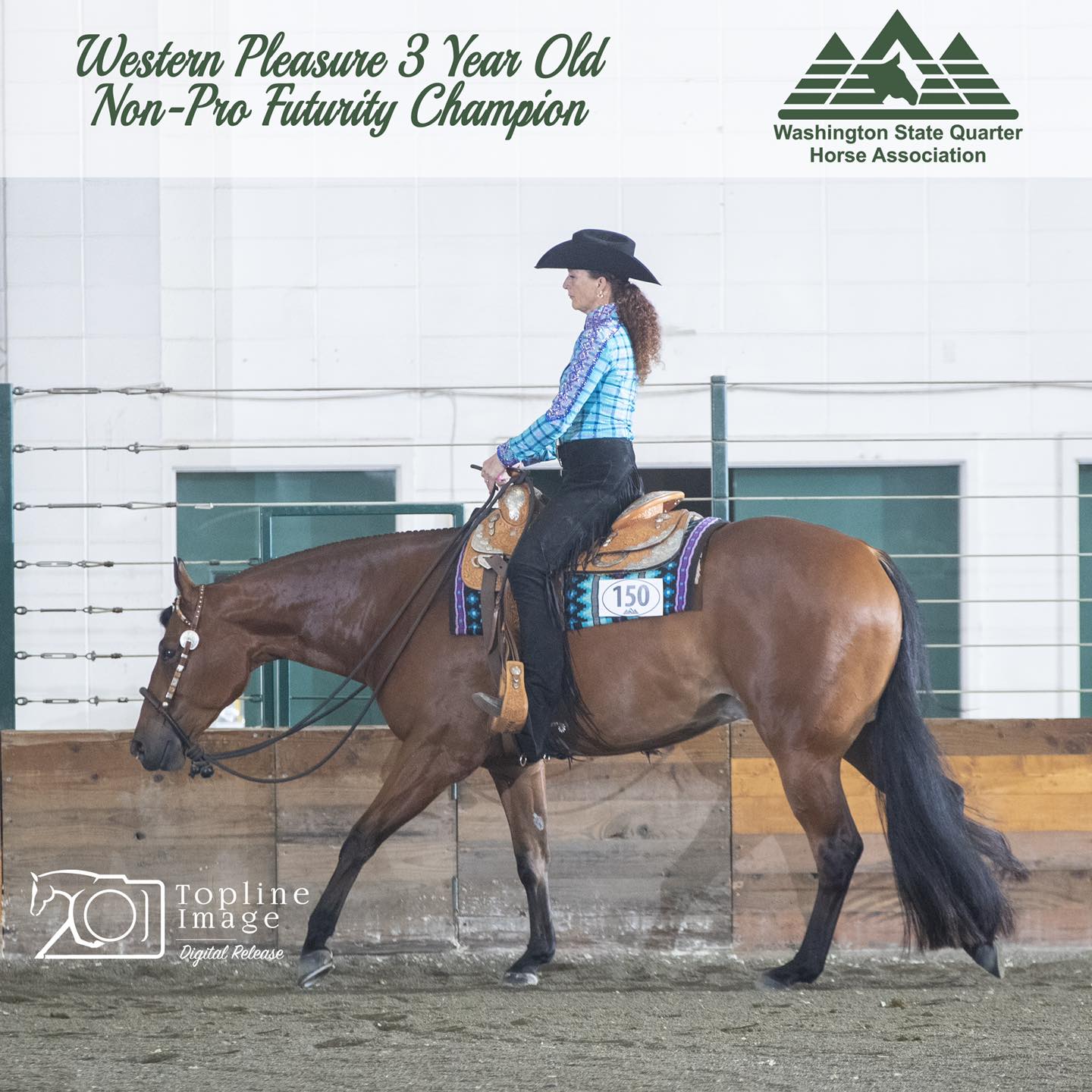 Washington State Quarter Horse Association (WSQHA)