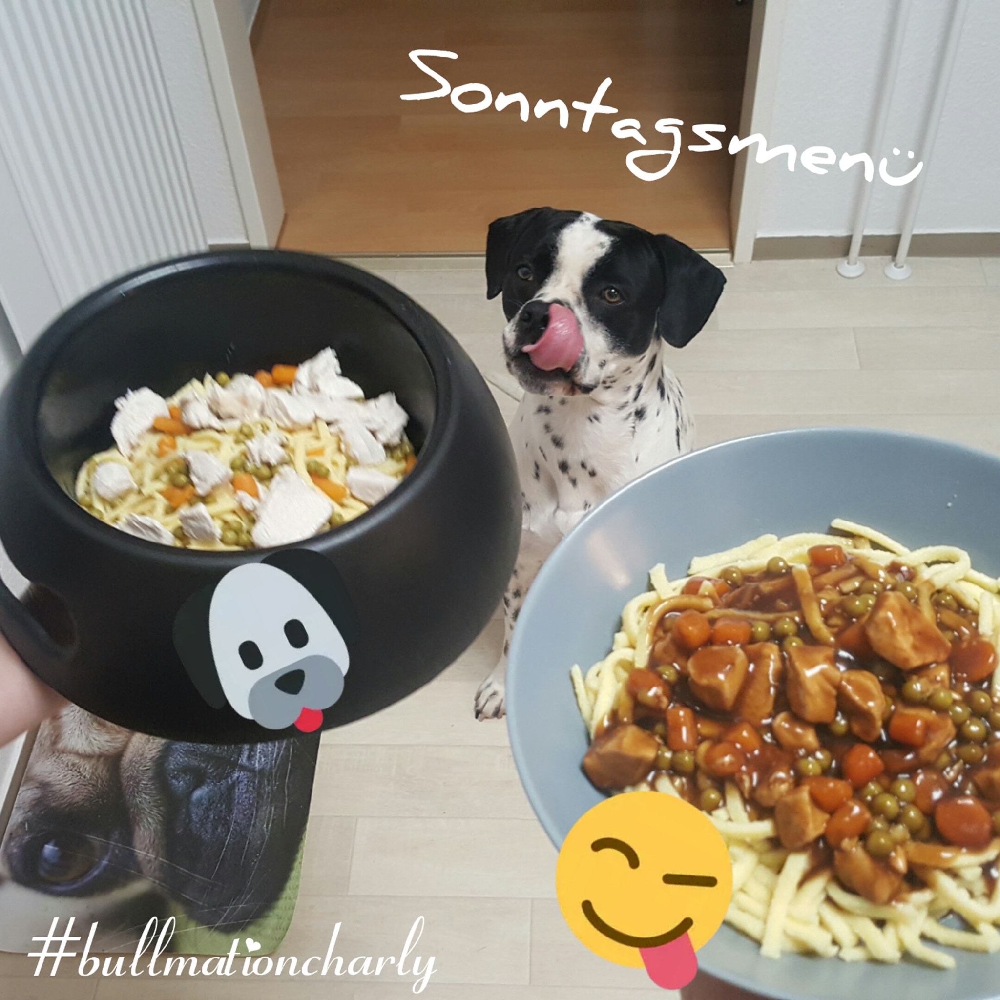 Bullmation Charly - Home | Facebook