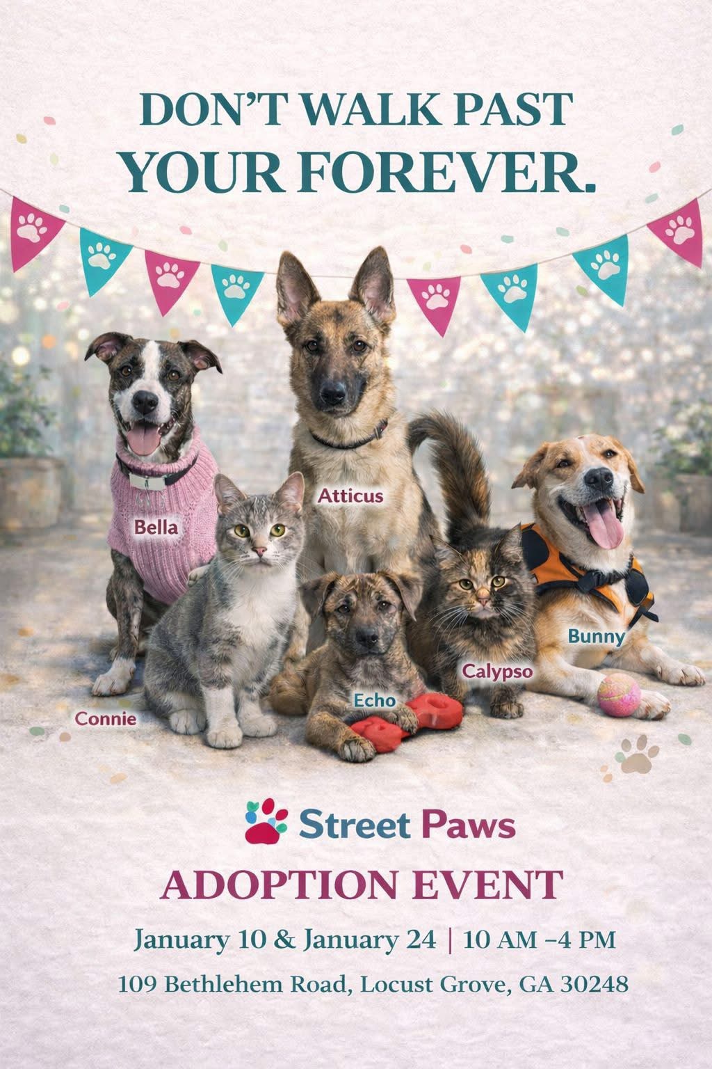 Street Paws Adoption Event