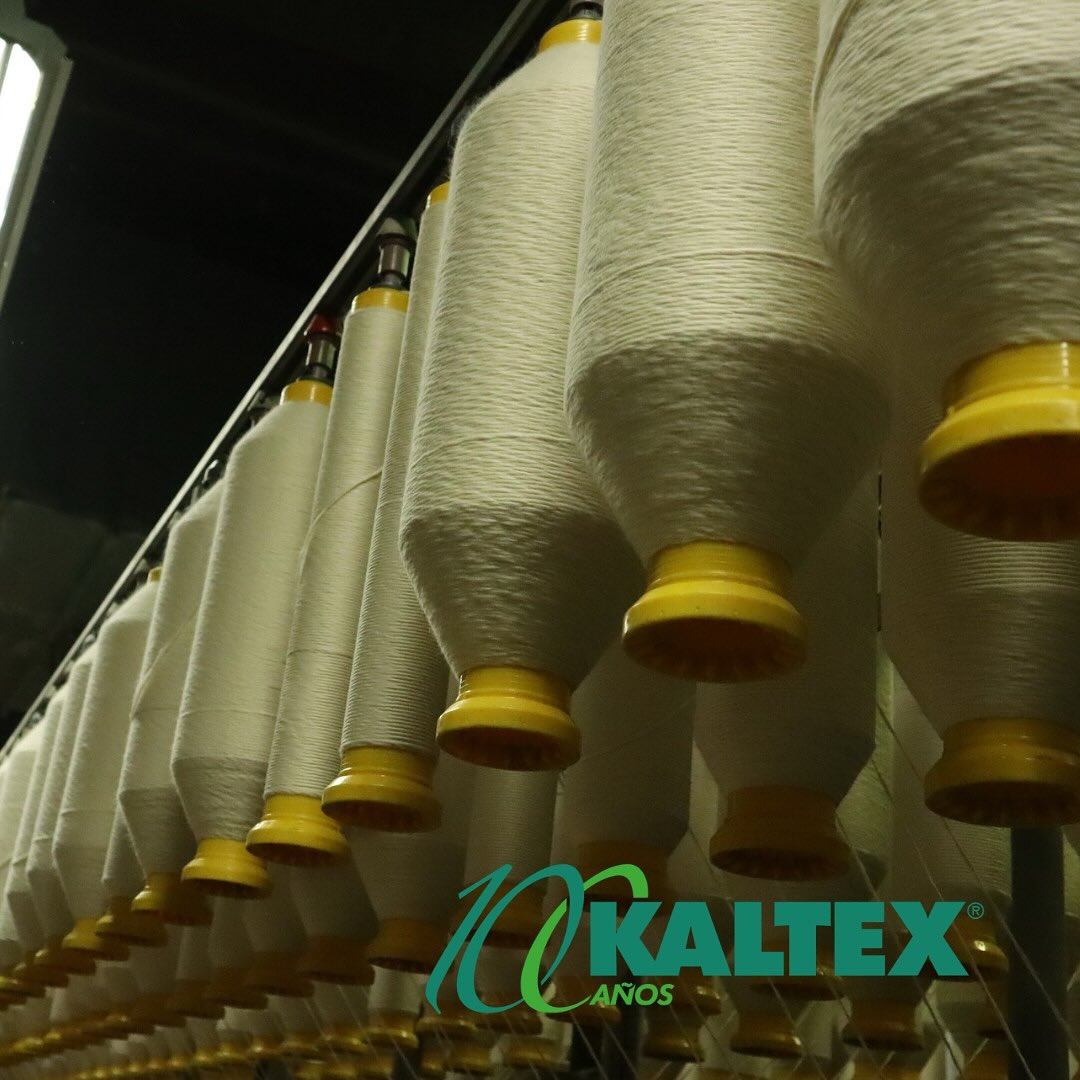Grupo Kaltex