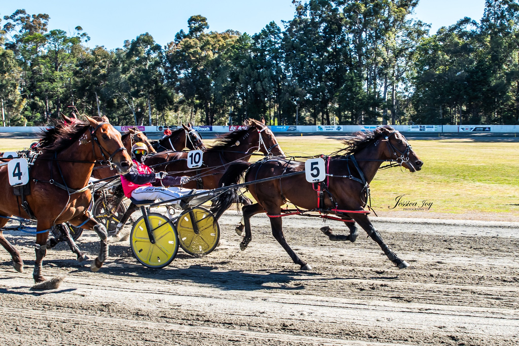 Collie Harness Racing Club | Collie WA