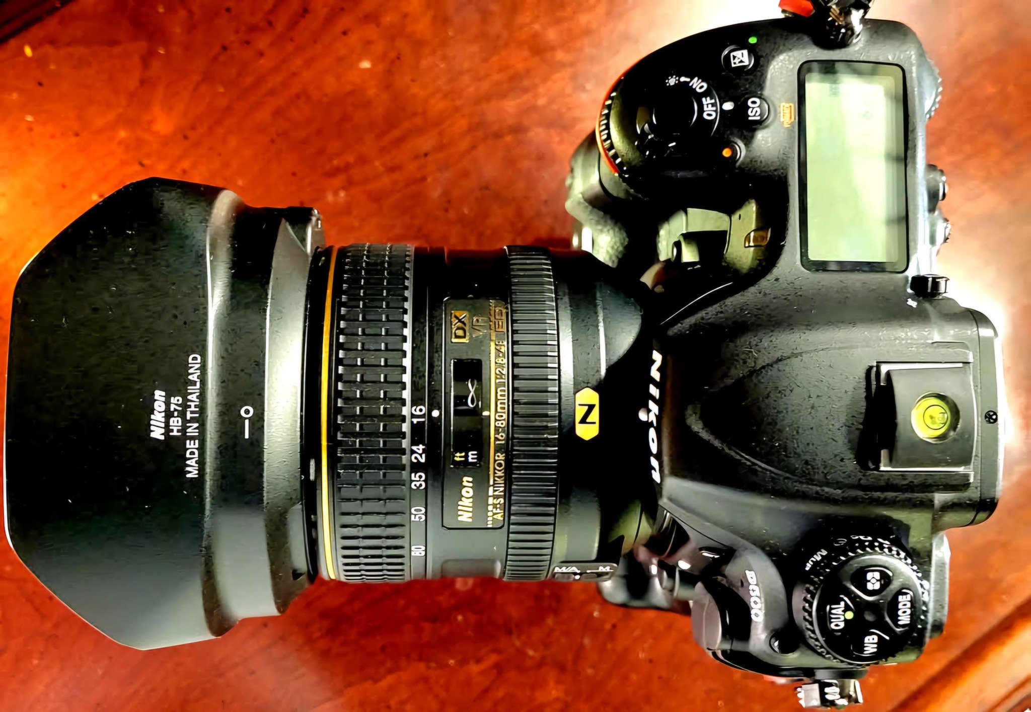 Nikon D500 with Nikkor AF-S 16-80mm VR lens