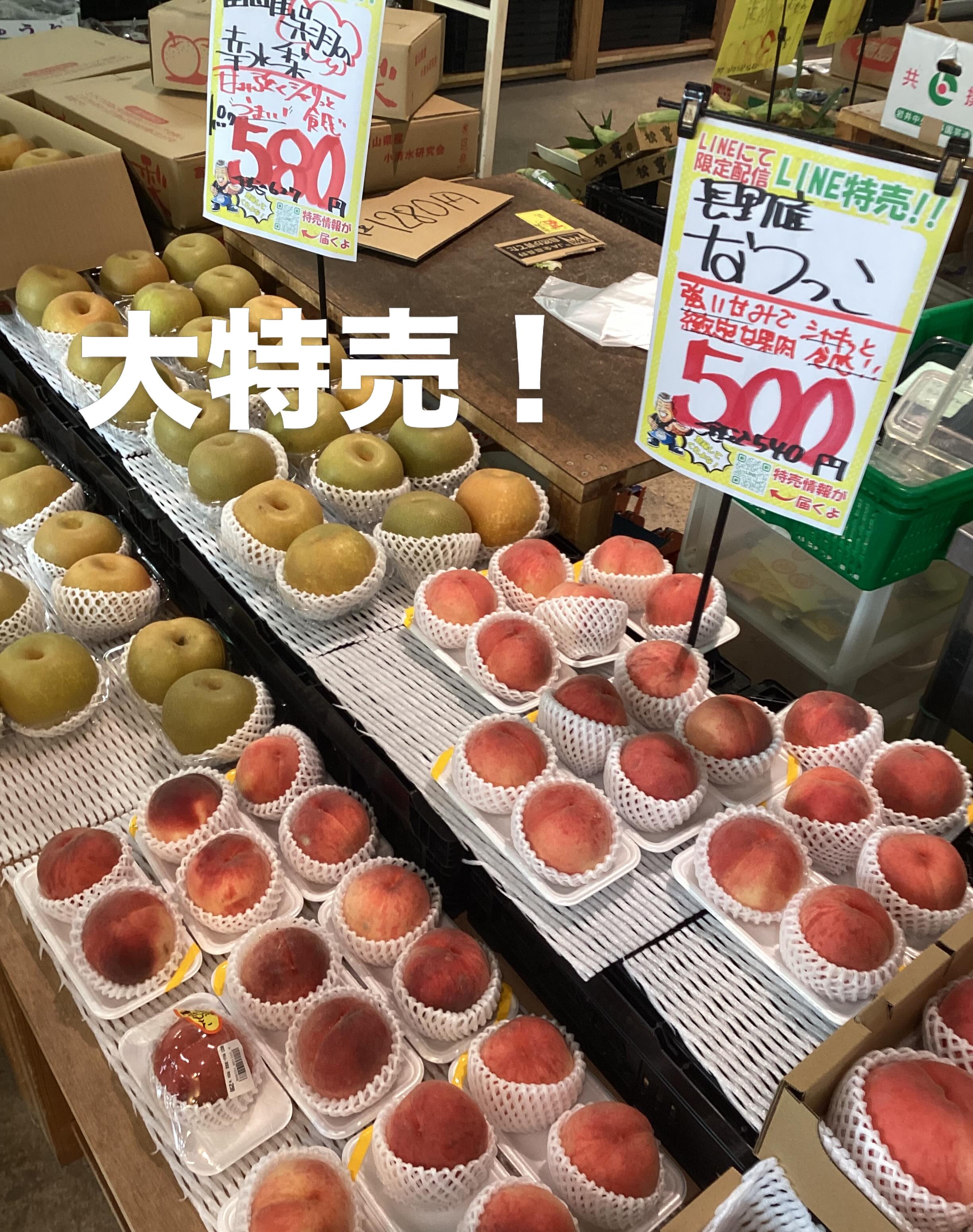 フレッシュライフ 恵那店