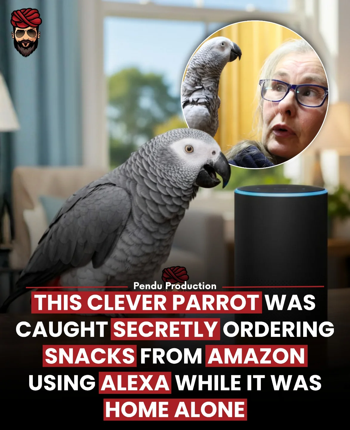 Pendu - Meet Rocco, the clever African grey parrot who learned to use ...