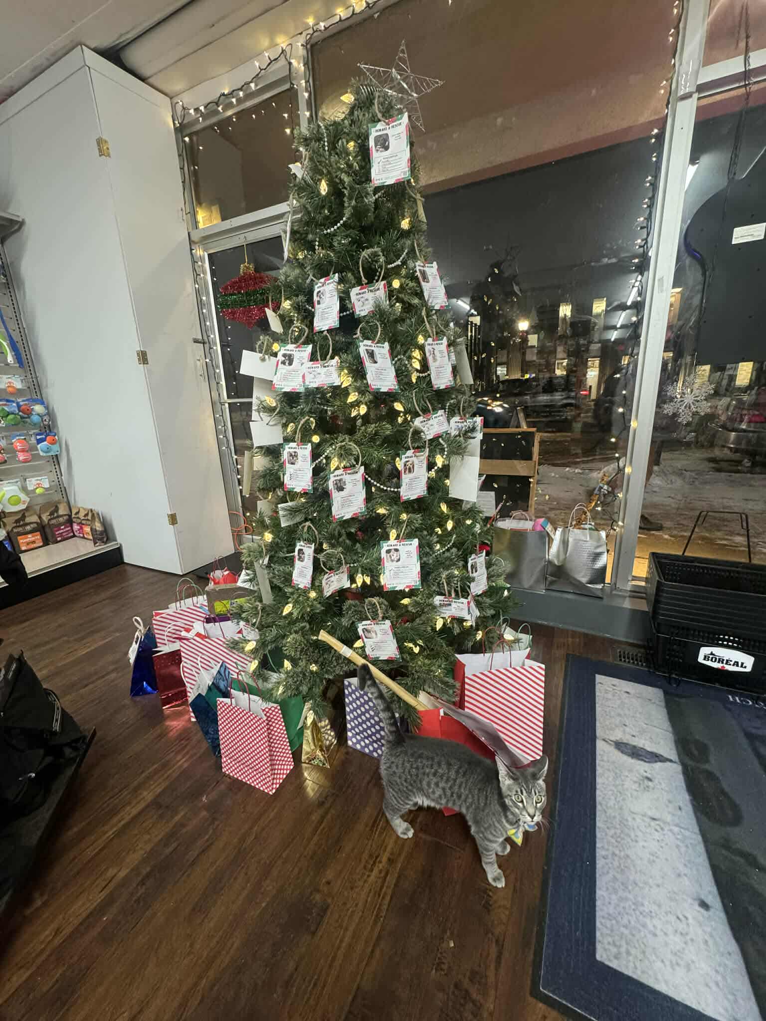 ZOE's - Our Reward a Rescue tree is in full swing at Kibbles & Biscuits ...