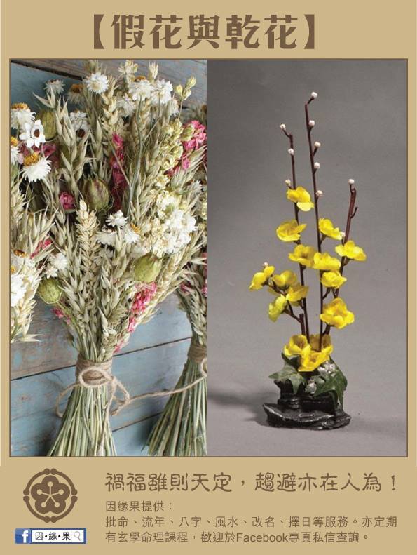 因 緣 果 風水淺談 假花 乾花與桃花之關係 很多人為了使家中多一點生氣和色彩 都會在家中擺放花朵 但現在城市人工作忙碌 不想太花時間來照顧花朵 或會選擇擺放一些假花或乾花佈置作為點綴 一般的假花都是由塑膠或金屬或布料所造成 先前的文章曾說過
