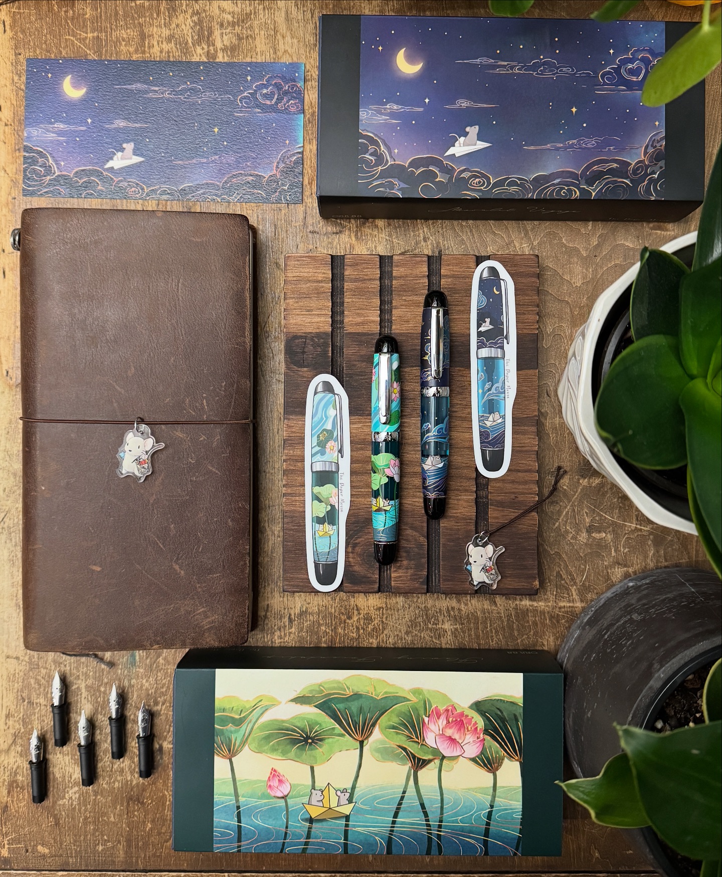 Say hello to Wancher, the newest brand to arrive at Scribe 