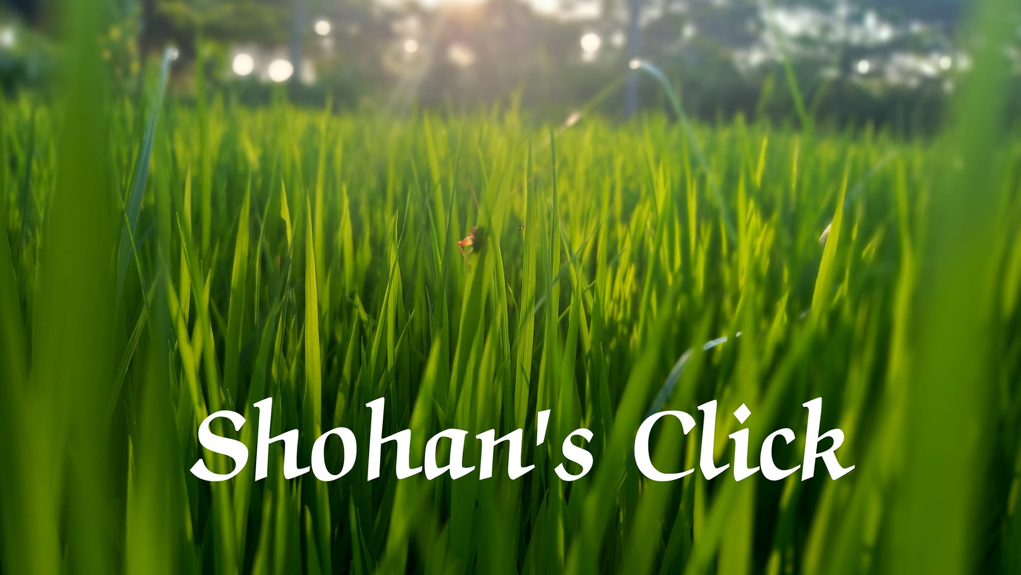 Shohan's Click