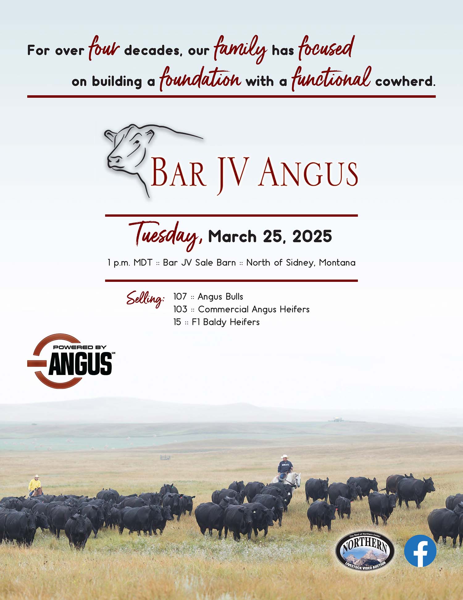 Bar JV Angus | Fairview MT