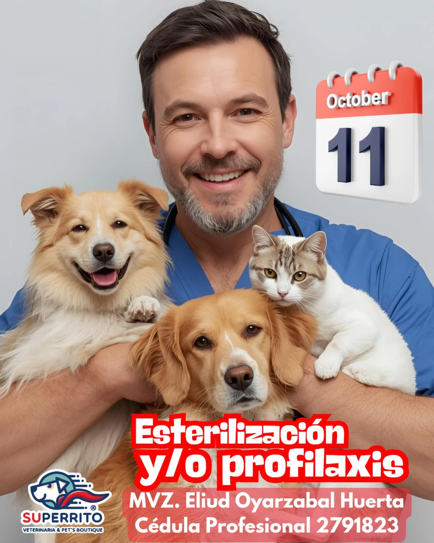 Superrito - Cada esterilización es un eslabón que rompe el ciclo de la ...