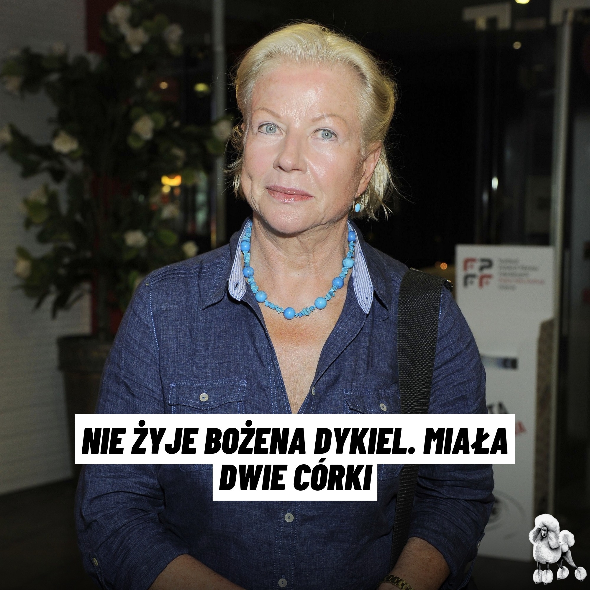 pudelek-wybra-y-ycie-z-dala-od-blasku-fleszy-czytaj-https-www