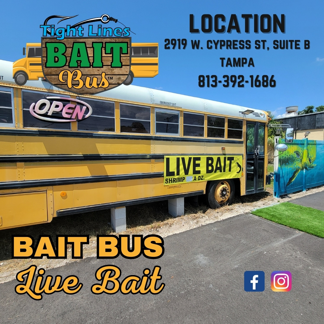 Tight Lines Bait Bus | Tampa FL