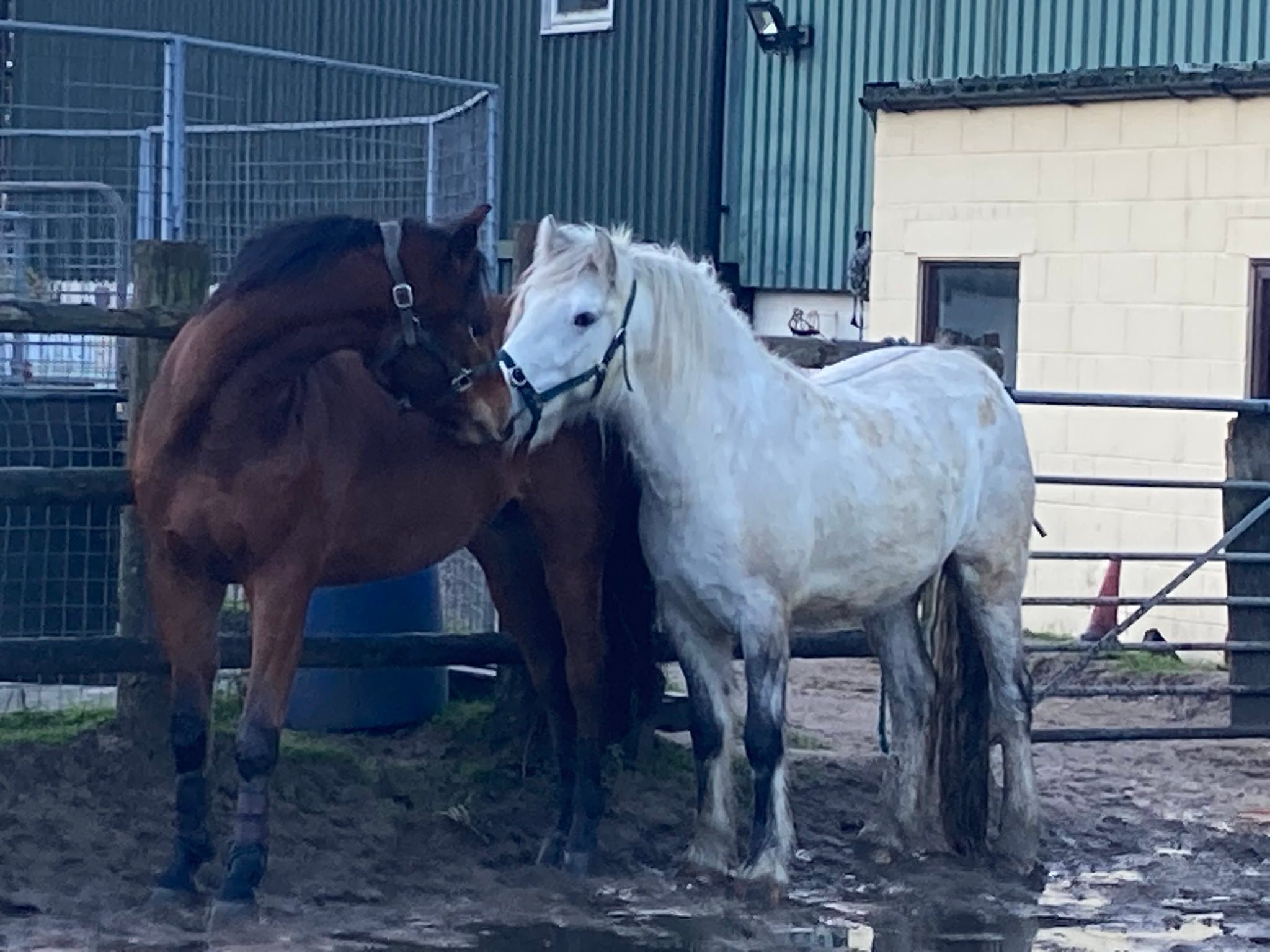 Lodge Riding Centre PC/YE | Liverpool