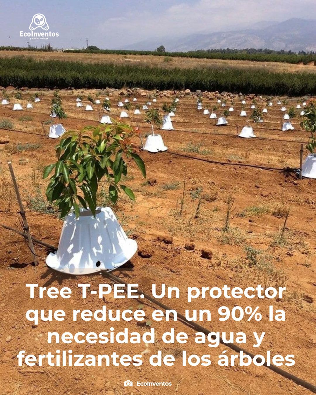 Ecoinventos - 🌱 Tree T-PEE. Un protector que reduce en un 90% la ...