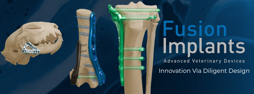 Fusion Implants