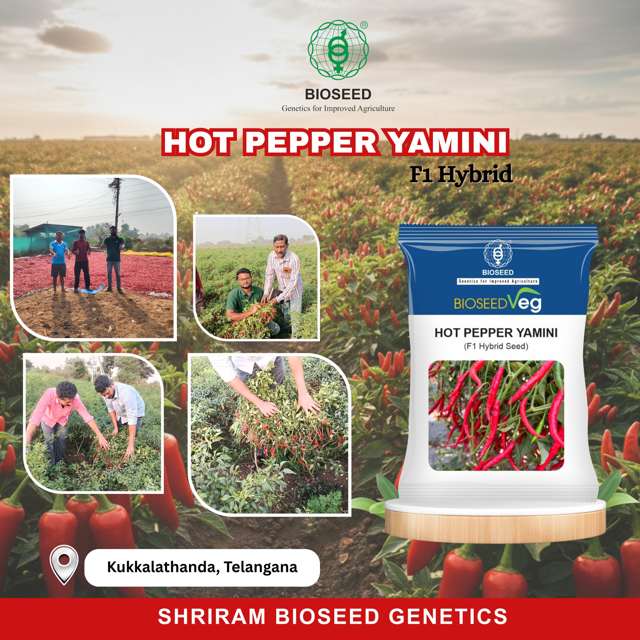Shriram - #Bioseed ensures Seed quality with high Performance and ...