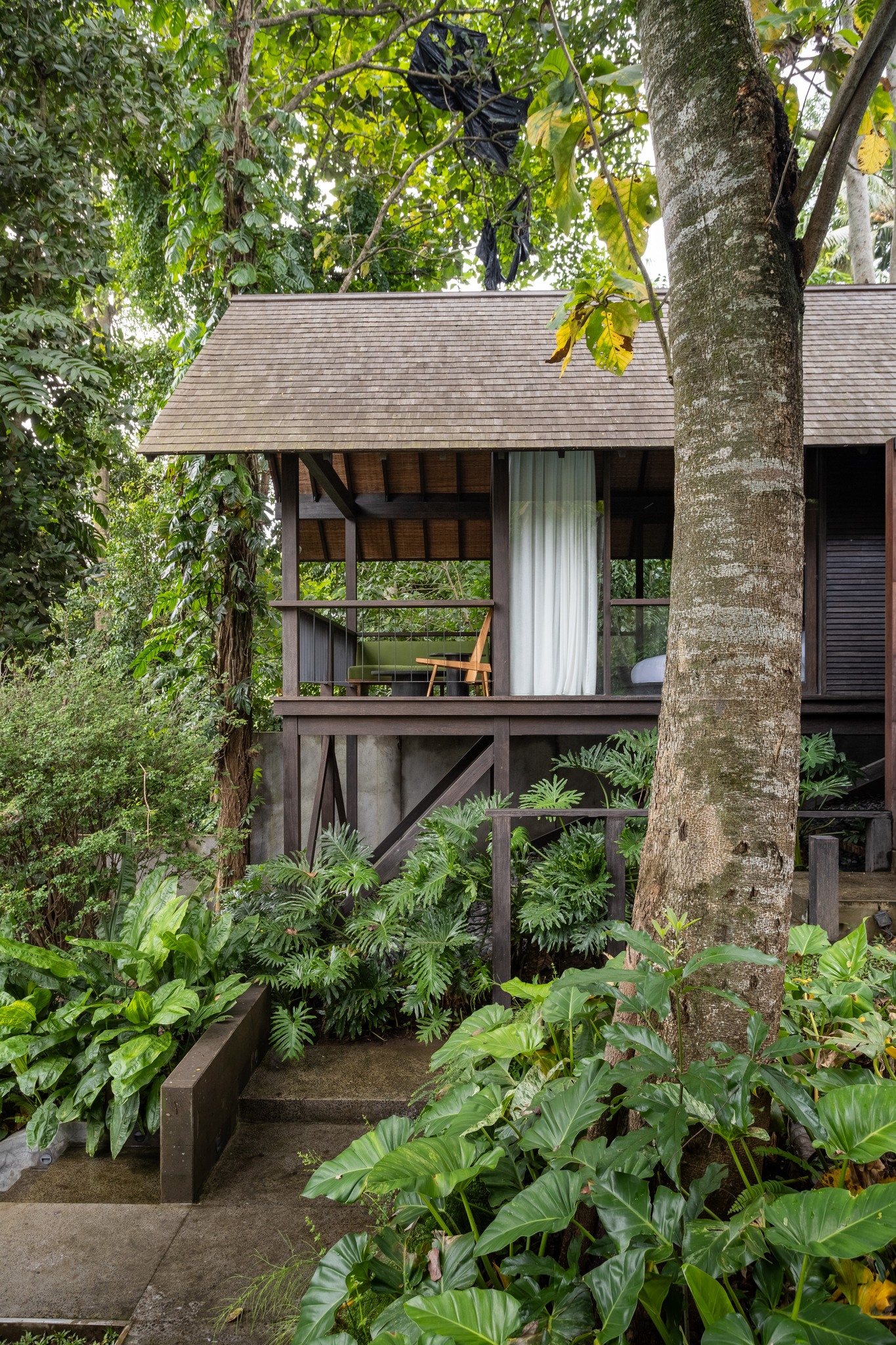 Tree Studio