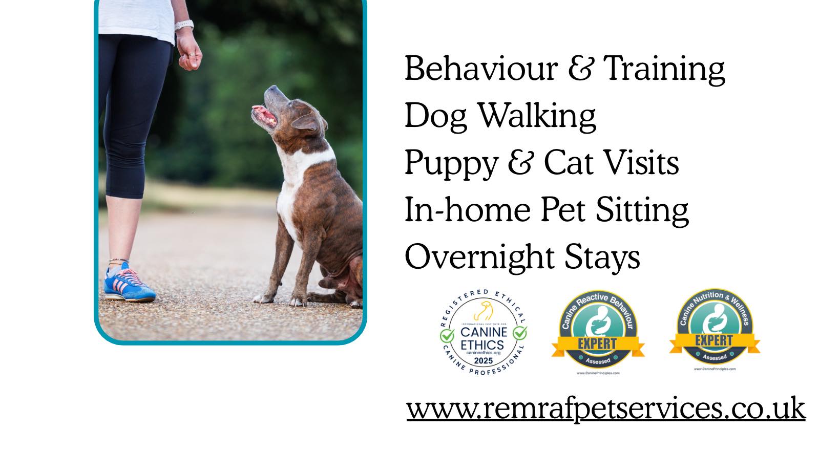 Remraf Pet Services : Dog Walking & Training | Hatfield