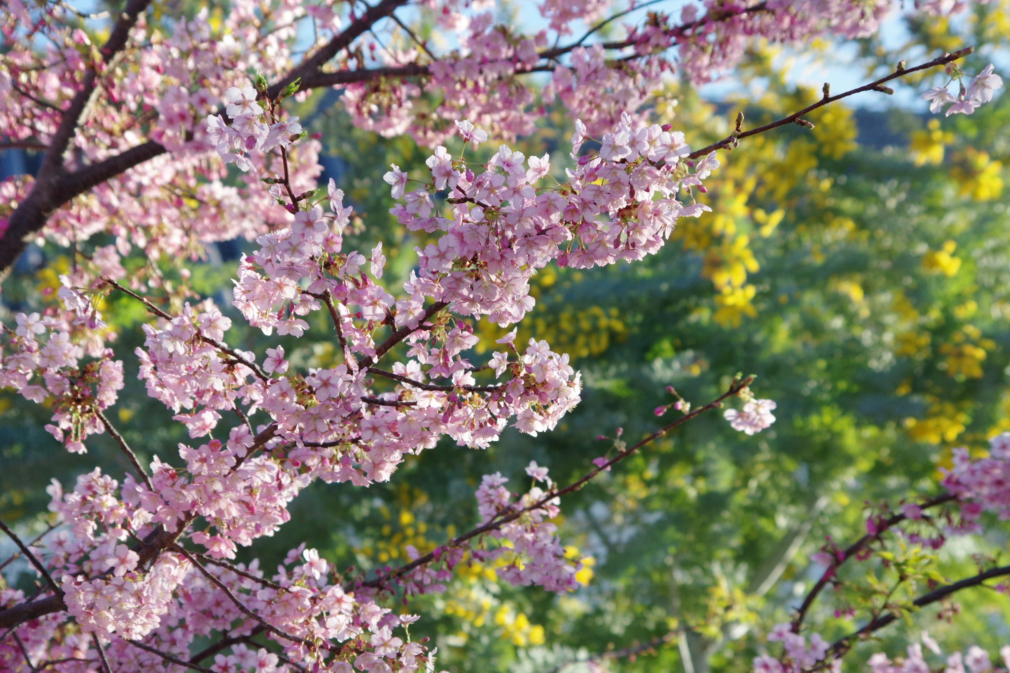 徳川園 - 徳川園 added a new photo.