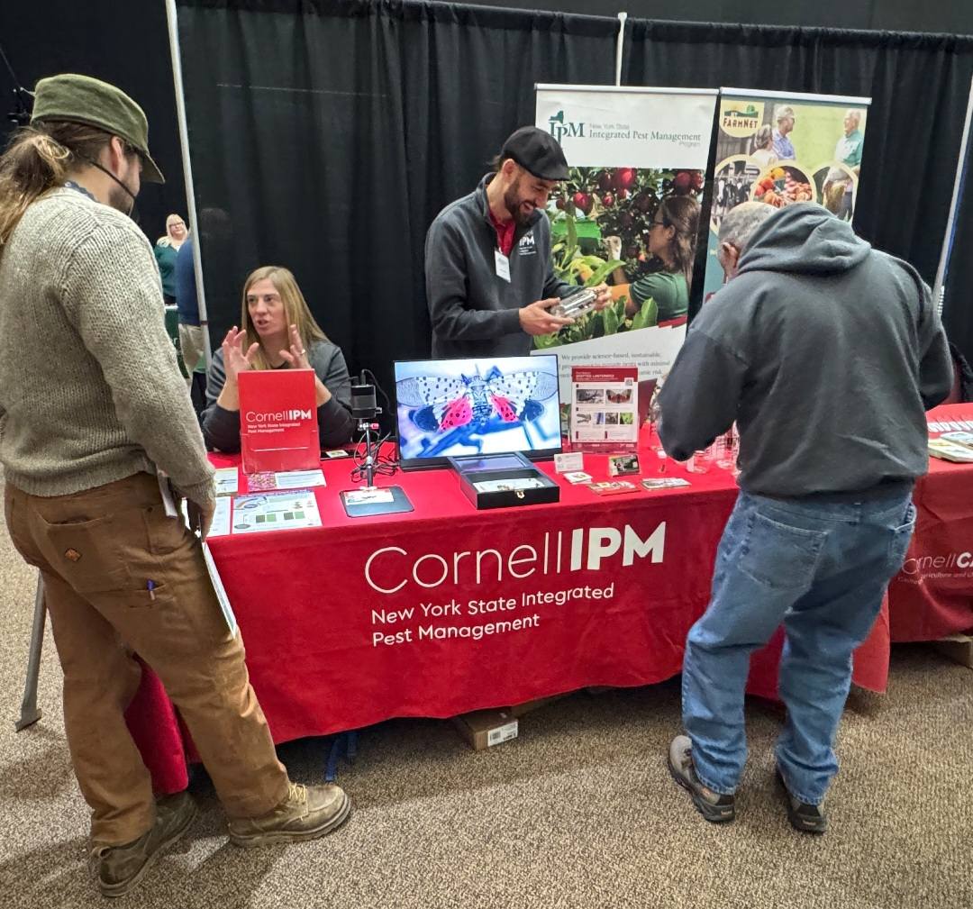 Cornell Integrated Pest Management | Geneva NY