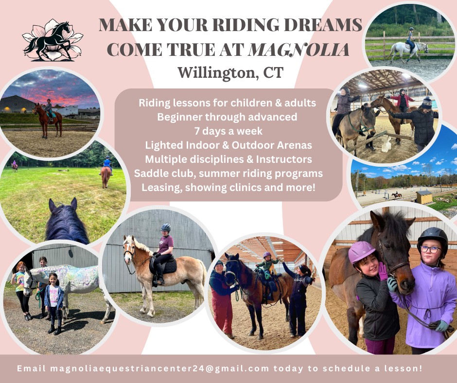 Magnolia Equestrian Center... - Magnolia Equestrian Center