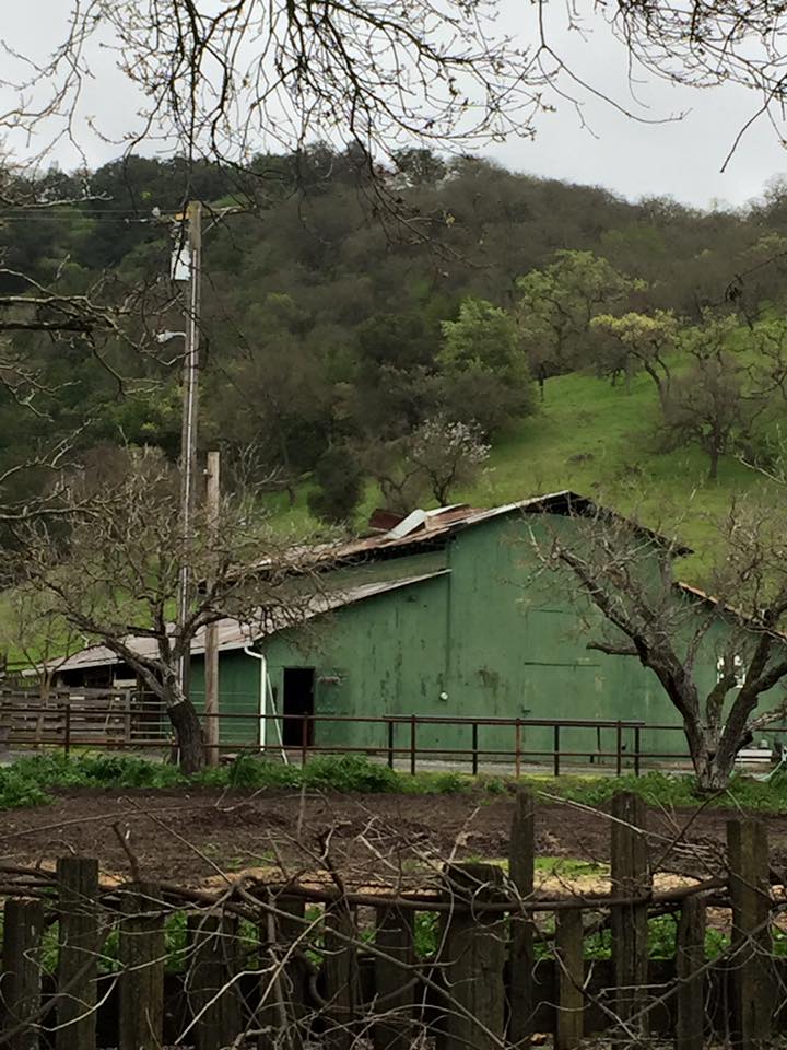 Tilton Ranch | Morgan Hill CA