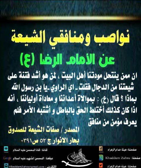 الاخوة المتشيعين على قناة فدك وصوت العترة Posts Facebook
