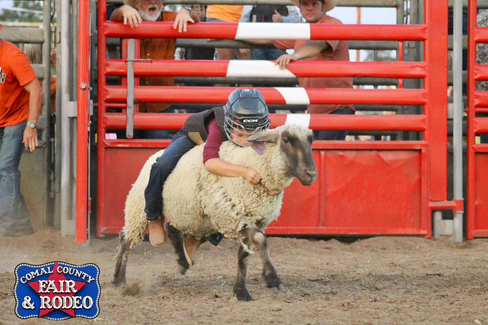 The wait is over! 🎉 ALL Mutton Bustin’... - Comal County Fair | Facebook