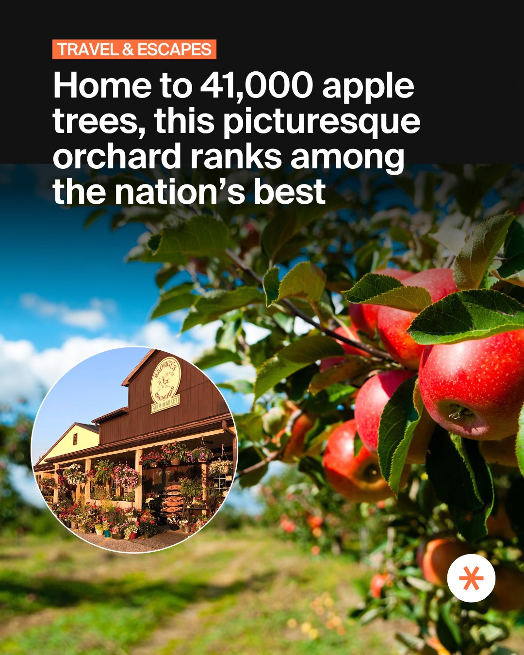 Secret - Looking for the perfect fall day trip? This apple orchard, a ...