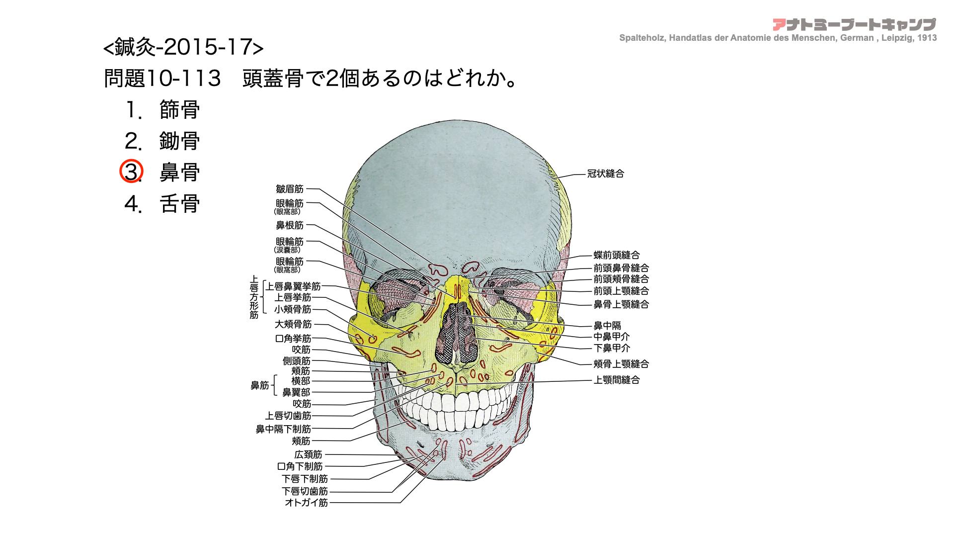 かずひろ先生の【徹底的国試対策】解剖学 - 頭蓋骨で2個あるのはどれか。 1．篩骨 2．鋤骨 3．鼻骨 4．舌骨 解答↓ 【答え】3 1．篩骨 ...