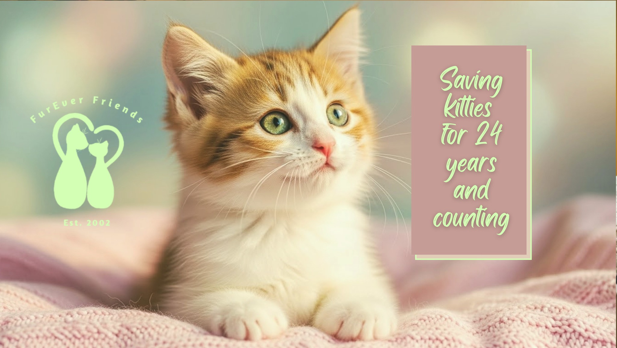 FurEver Friends Animal Rescue, est 2002 | Enka NC