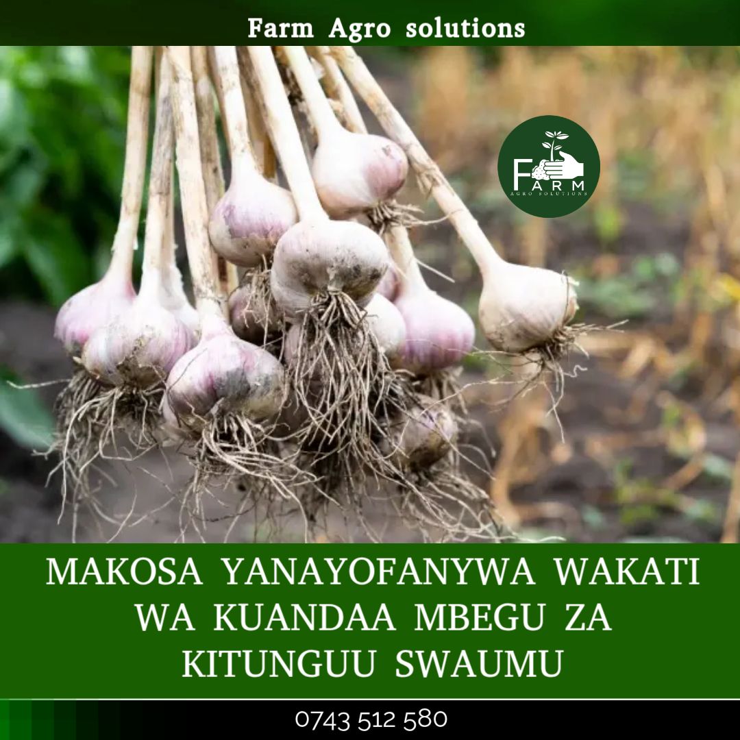Farm Agro Solutions Company Limited | Mbeya