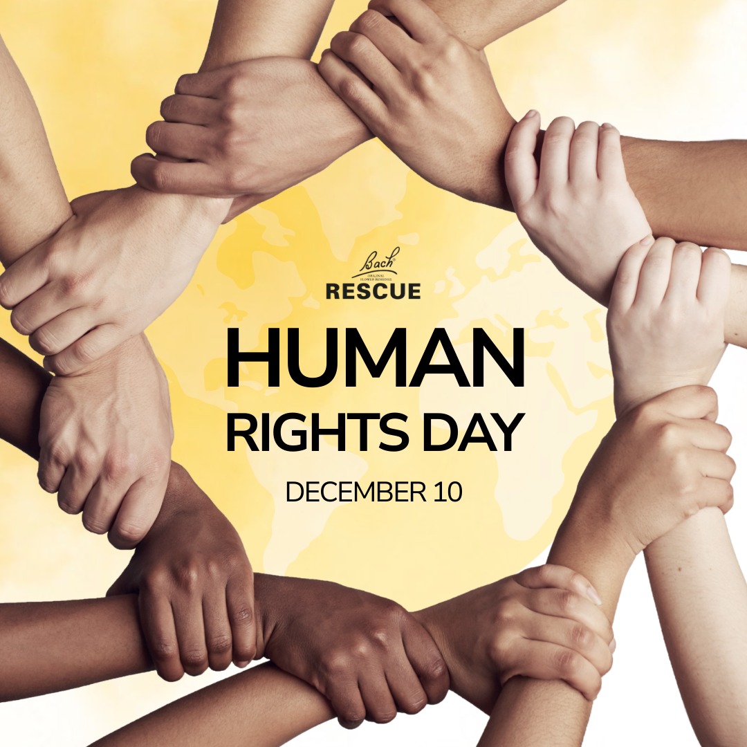 On International Human Rights Day,... - Bach Rescue Remedy SA | Facebook