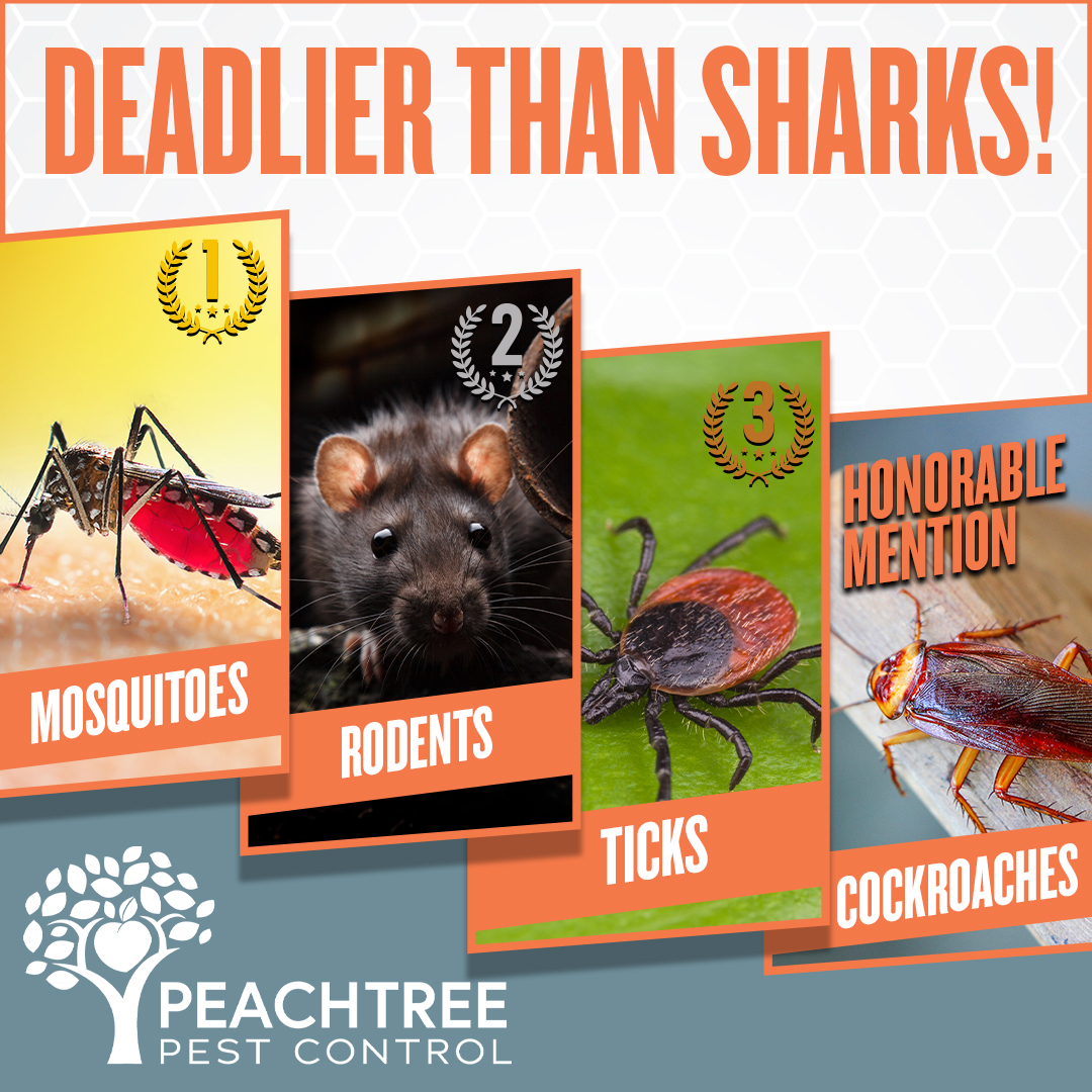 Sitemapcdatahttpabckniqoocomecoshield Pest Solutions Peachtree Corners Reviewsnull