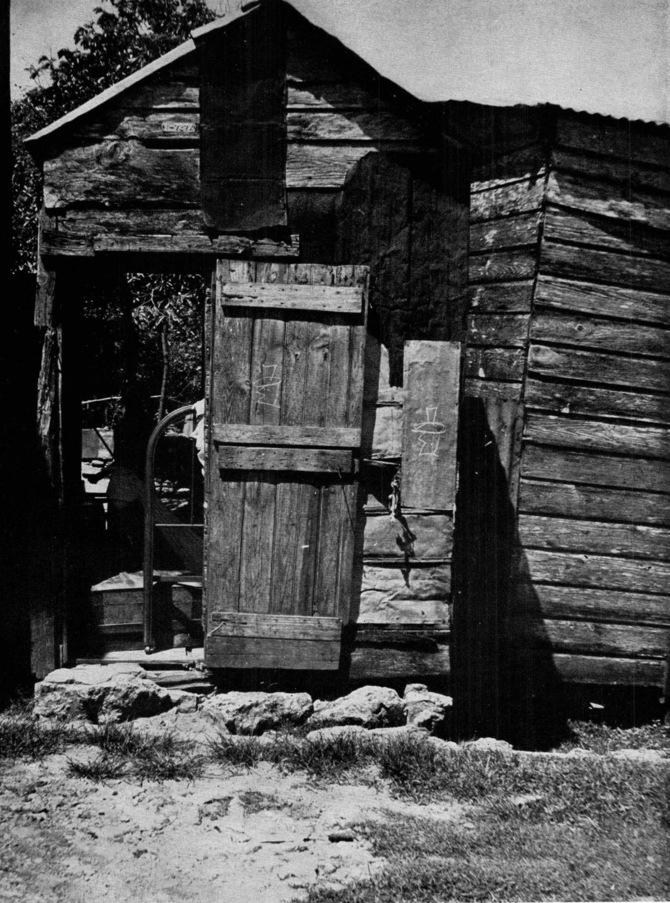 Fotografía - Casa de madera y planchas de zinc en un arrabal de Isabela ...