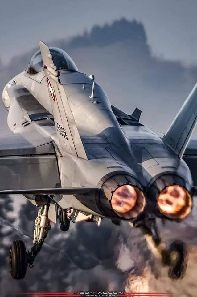 F/A-18E Maverick done 😉💪👍