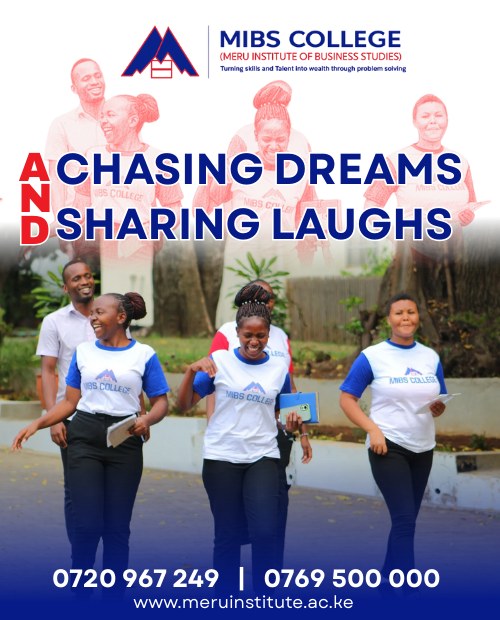 Meru Institute of Business Studies - MIBS College