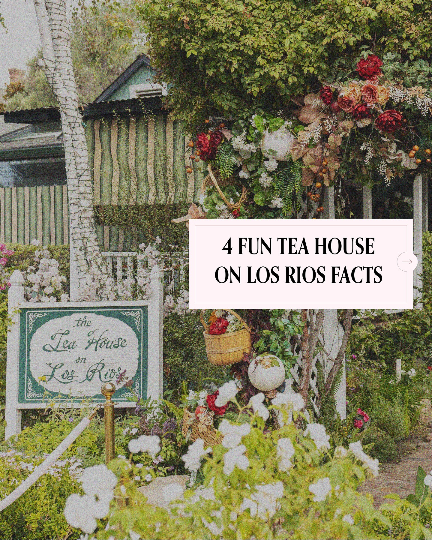 The Tea House on Los Rios | San Juan Capistrano CA