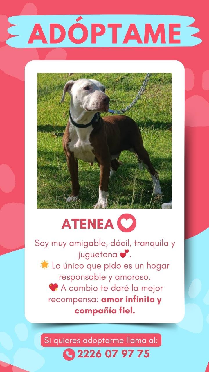 Superrito - Superrito added a new photo.
