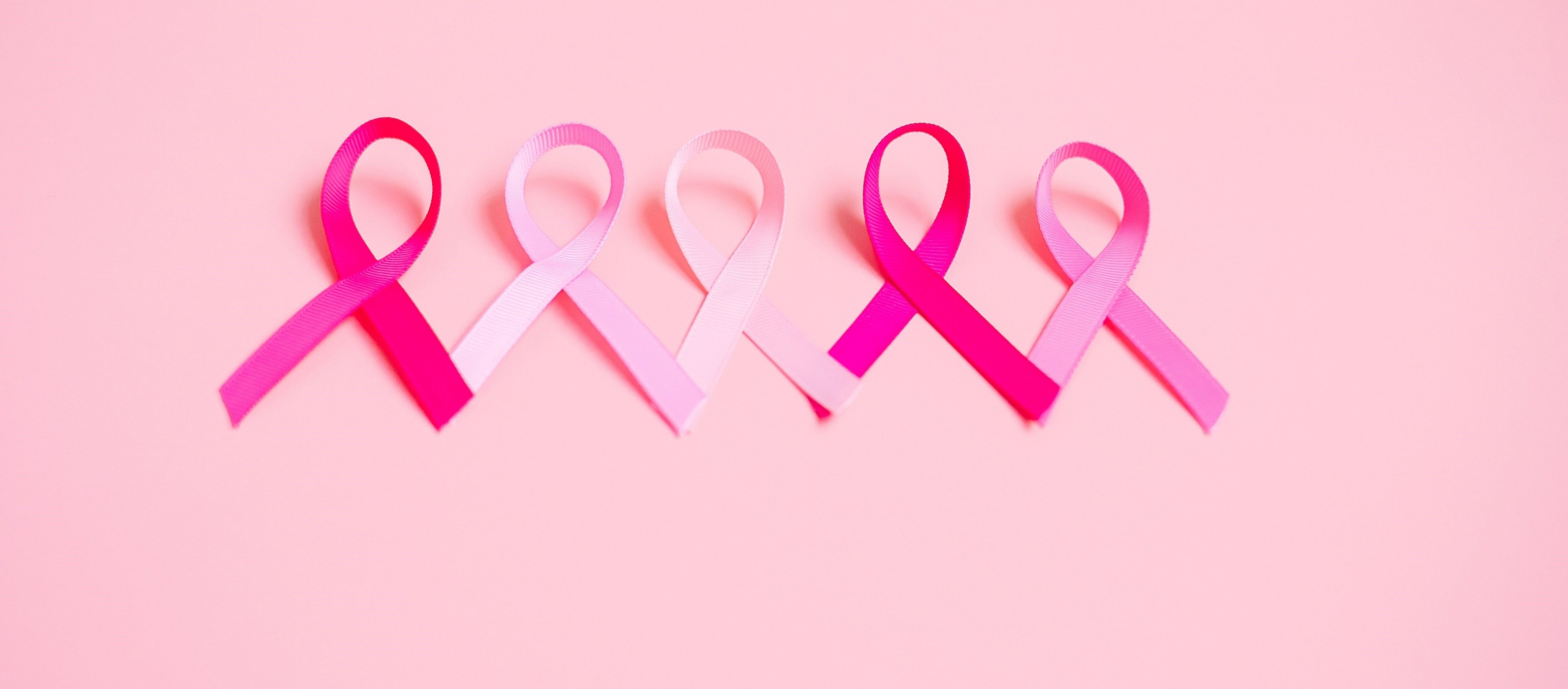 Sarah - October is Breast Cancer Awareness Month, a time to honor the ...