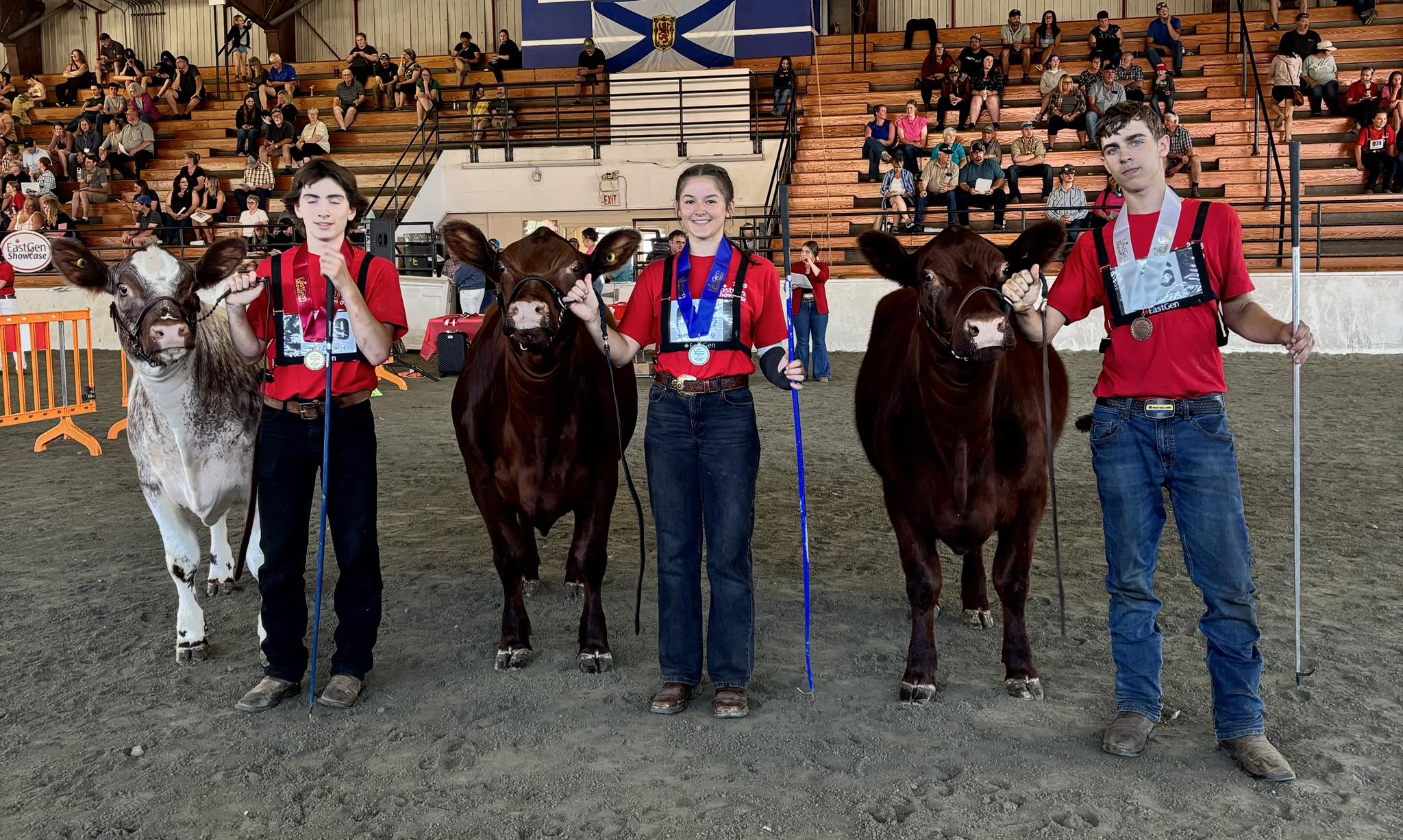 EastGen - EastGen Atlantic Showcase 2025 Results! Shorthorn Heifer ...