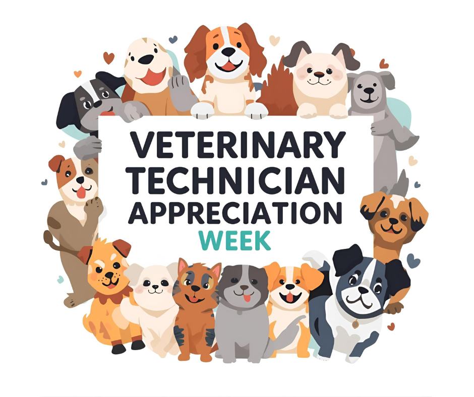 🐾💙 Happy RVT... - Wood Buffalo Small Animal Hospital | Facebook