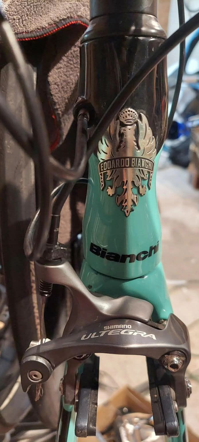 bianchi bicycle italy Campione D'Italia Road Bike  Coco's Variety making it a very attractive road bike in its price class Cycling Bianchi Made In Italy