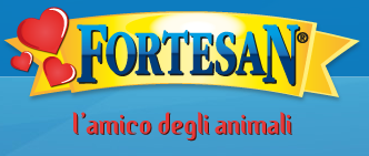Centro Fortesan Fortino | Turin